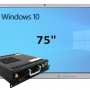 Интерактивная панель 75" (встроенный ПК, Win10, Intel i5)